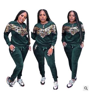 Rebicoo Sequin Velvet Tracksuits Women Set Autumn Winter Outfits Long Sleeve Hoodie Top+Pant Sweat Suit Velour 2 Piece Sweatsuit